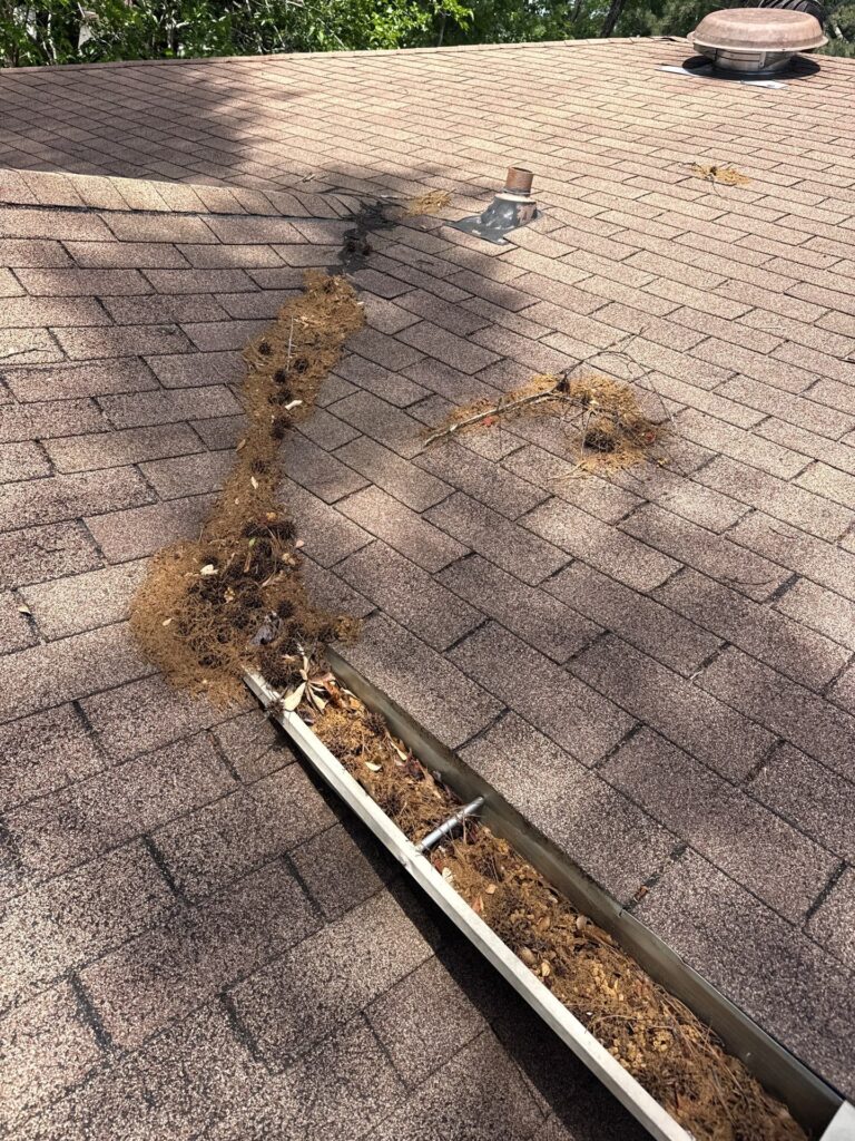 Why Regular Gutter Cleaning Matters More Than You Think