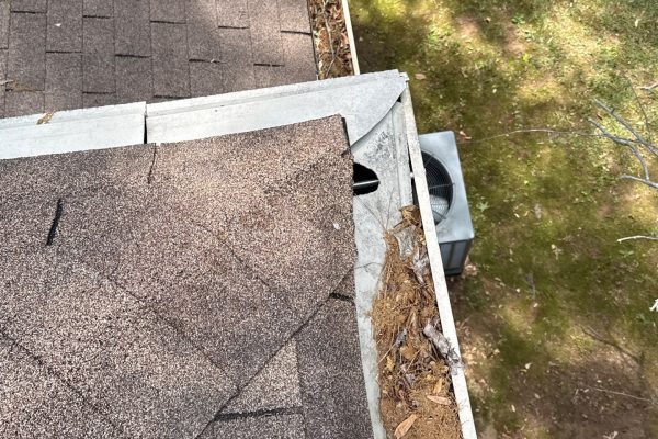 Dirty Gutters that will create future problems.