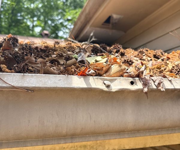 Close up of full gutters