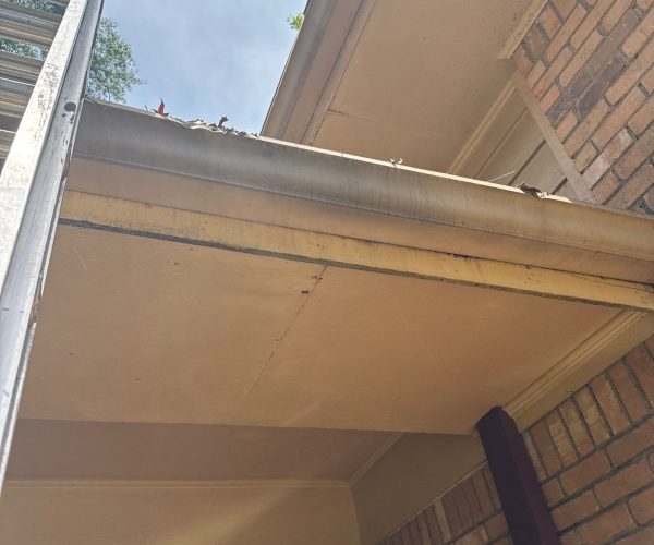 Gutter view from the ground